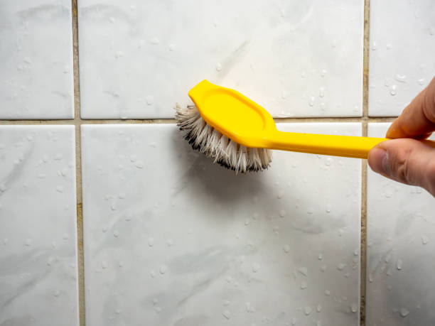 Best Emergency Mold Removal  in High Point, NC