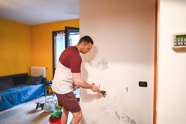 Best Black Mold Removal  in High Point, NC